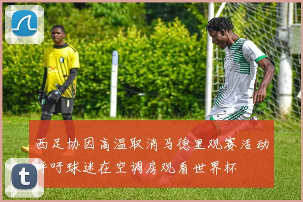 西足协因高温取消马德里观赛活动呼吁球迷在空调房观看世界杯